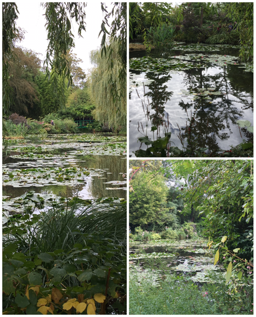 monet-ponds